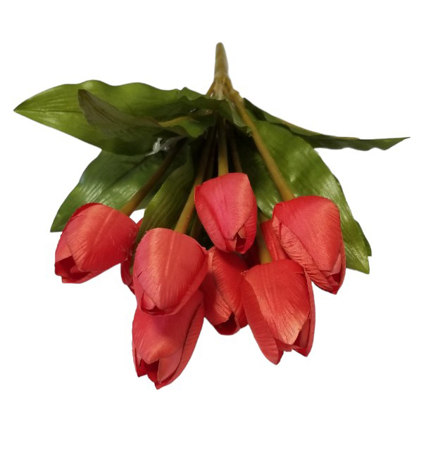 Svazek tulipánů mini 9 květů oranžová (36sad/krt)