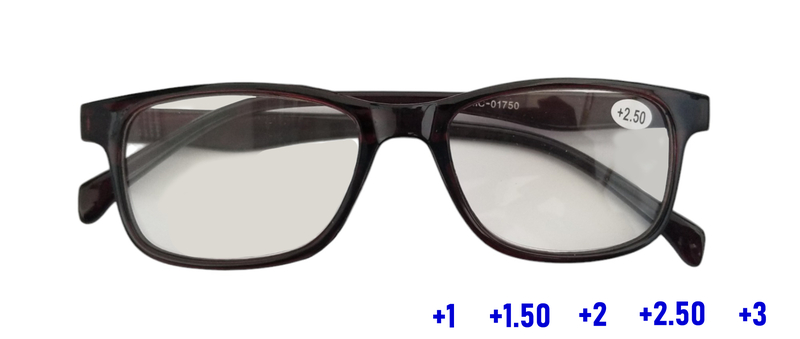 Brýle na čtení s pouzdrem - Pray (20ks/bal, 500ks/krt)