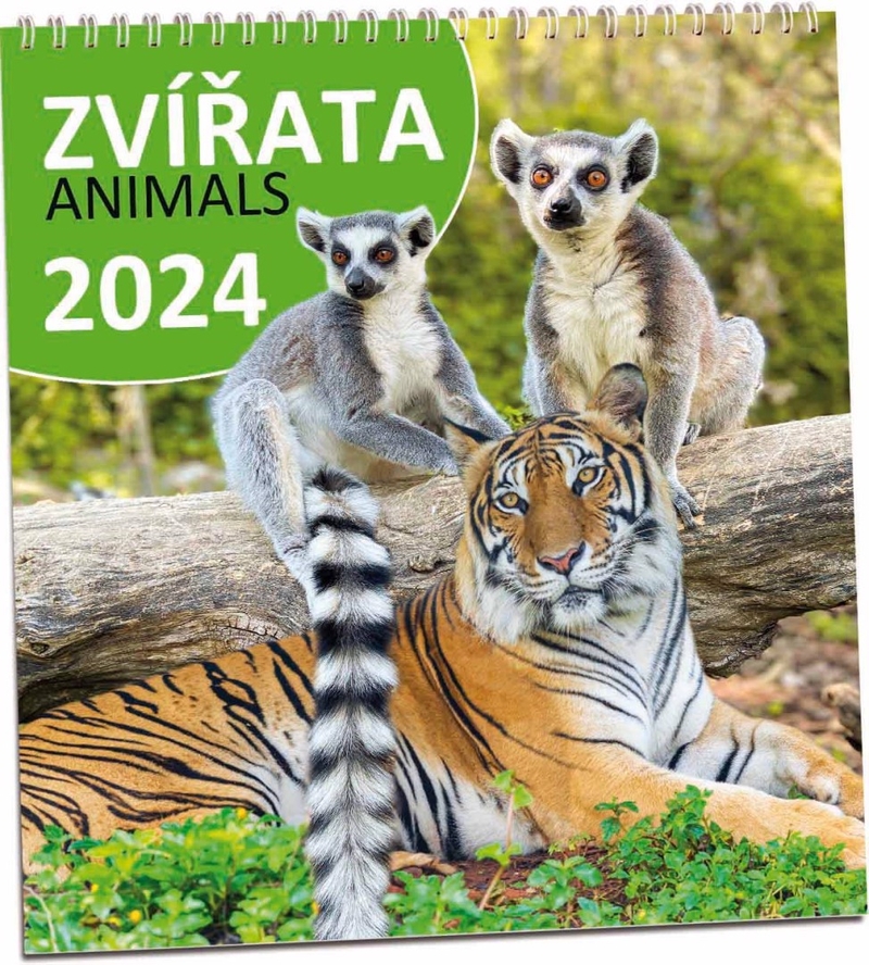 Nástěnný kalendář 2025 ARIA G 320×340mm - Zvířata