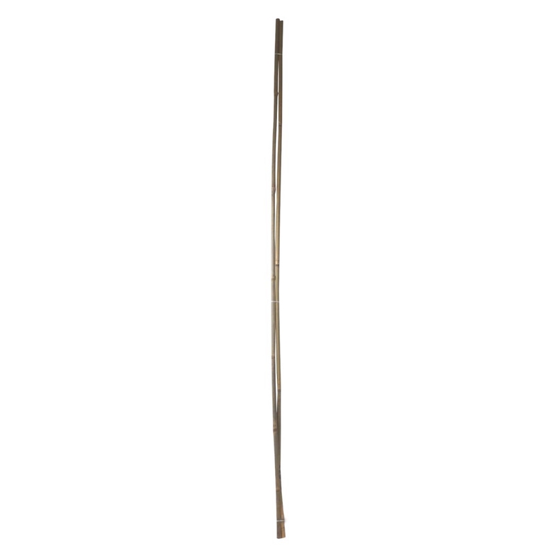 Tyč bambusová O 16 - 18mm x 180cm 2ks