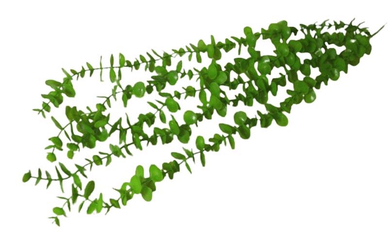 Girlanda eukalyptus 5x tm. zelená 74cm (3ks/bal)