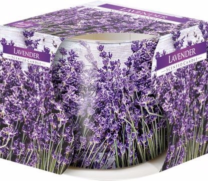 Bispol Svíčka ve skle 100g Lavender (6ks/krt)