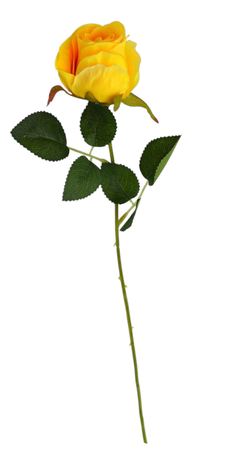 Růže single 51cm žlutá