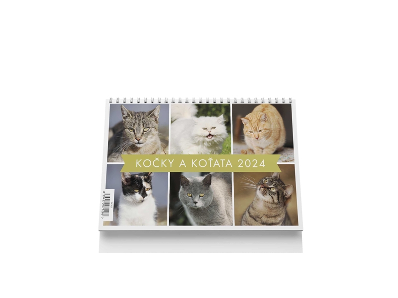 Stolní kalendář 2024 220x148mm - Kočky a koťata (10ks/bal)