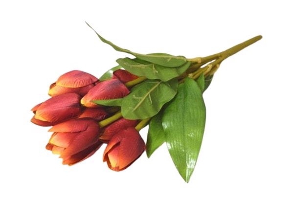 Svazek tulipánů mini 31cm 9 květů červená (36sad/krt)