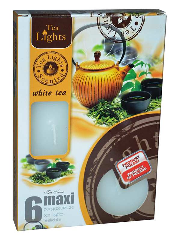 Admit Svíčky Maxi 6ks White Tea (8set/bal)