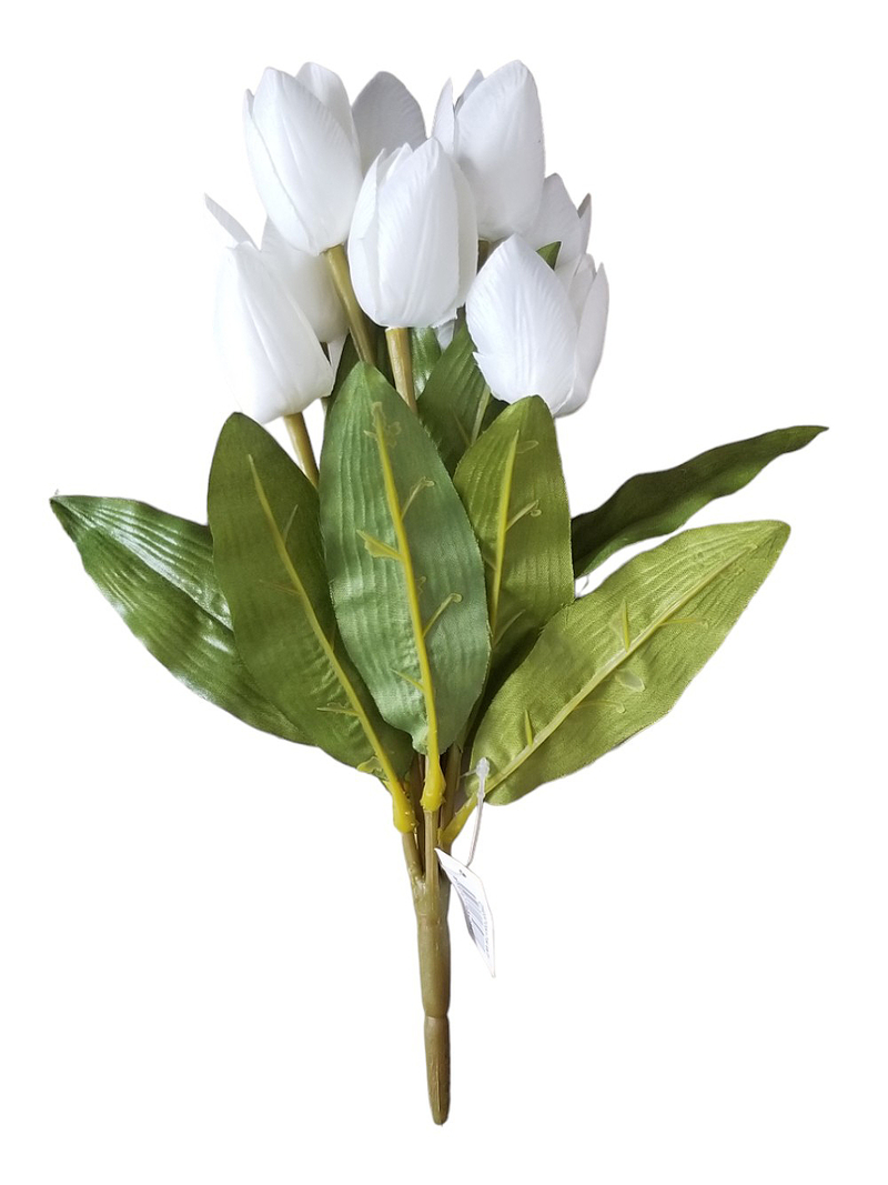 Svazek tulipánů mini 31cm 9 květů bílé (36sad/krt)