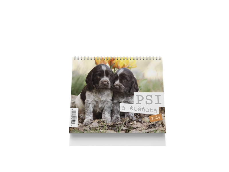 Stolní kalendář 2024 175x170mm - Psi a štěňata (10ks/bal)