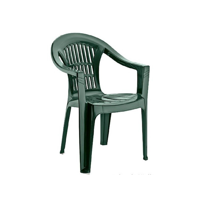 PUTORIUS Plastová židle zelený