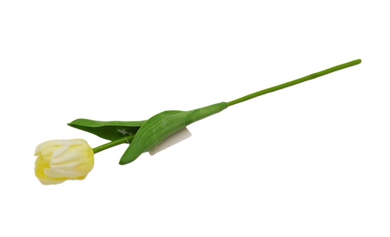 Tulipán svazek pěnový 30cm krémový (10ks/bal)