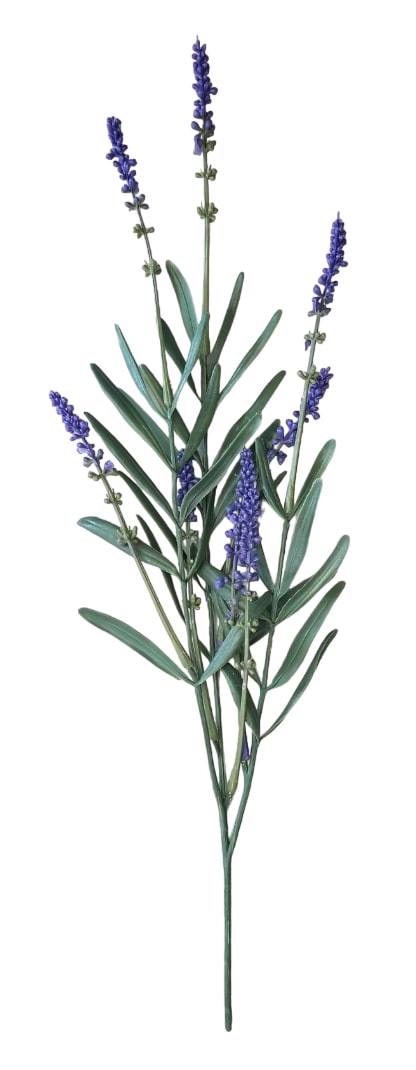 Hoa oải hương 48cm