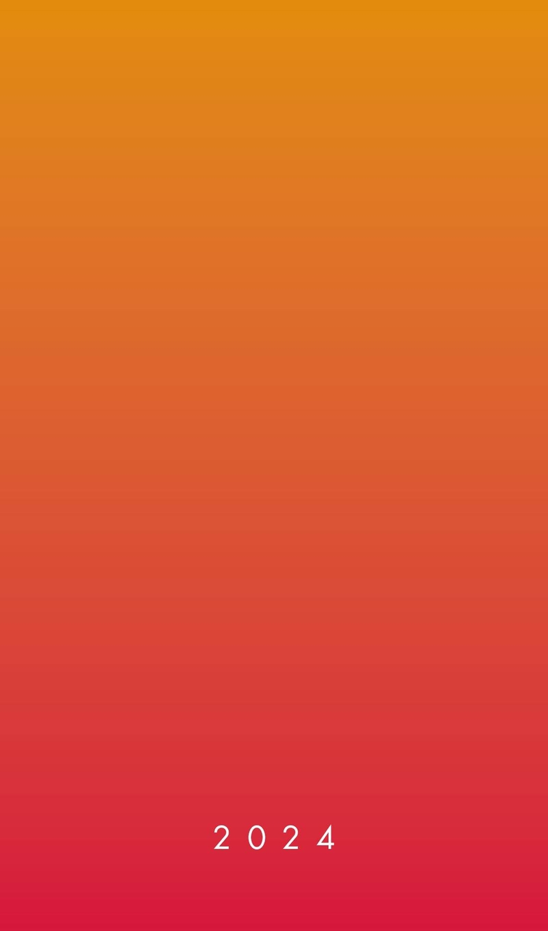 Diář týdenní 2024 100x170mm - Motiv speciál oranžovočervený (10ks/bal)