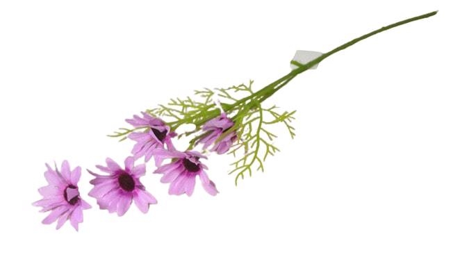 Kopretina 5 květů 50cm fialová 