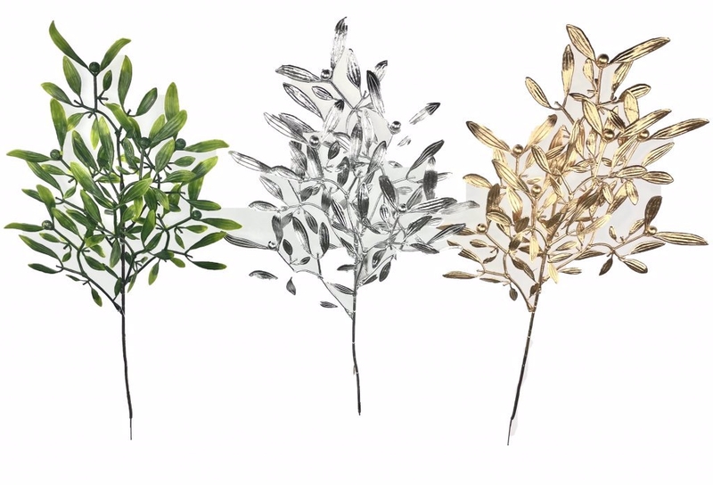 Cây tầm gửi 50cm