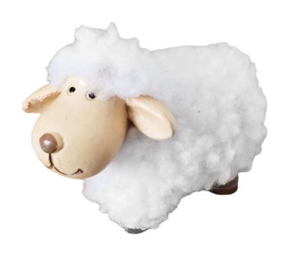 Cừu trang trí