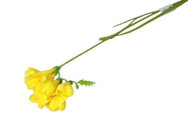 Frézie single 6 květů 56cm žlutá