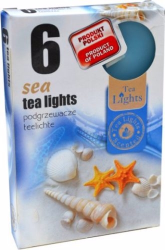 Nến trà 6ks