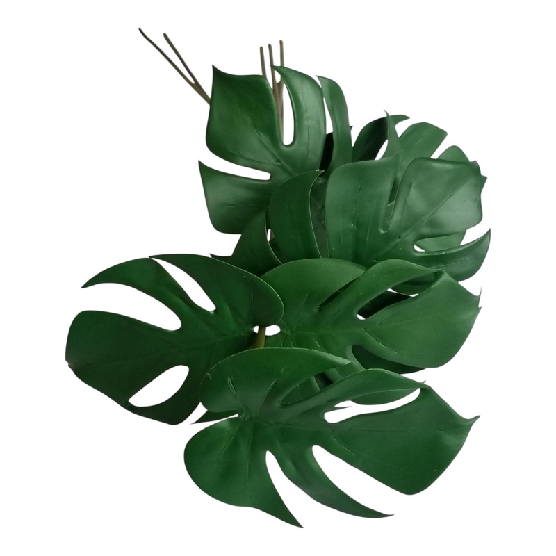 Lá monstera 50cm
