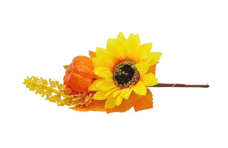 Cành bí 23cm