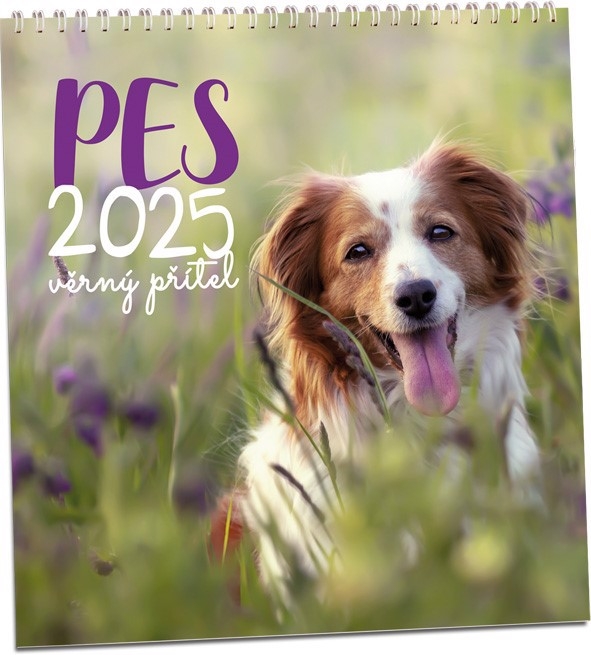 Nástěnný kalendář 2024 ARIA G 320×340mm - Pes věrný přítel (10/bal)