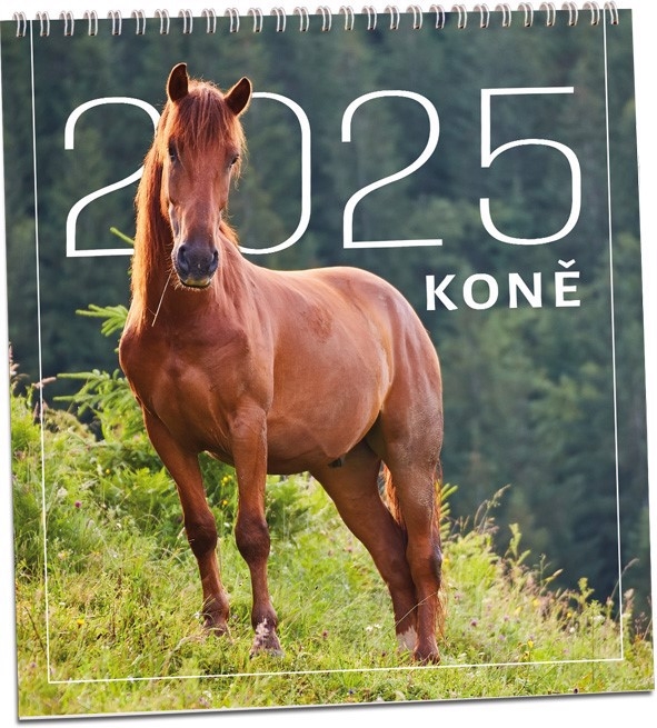 Nástěnný kalendář 2024 ARIA G 320×340mm - Koně (10/bal)