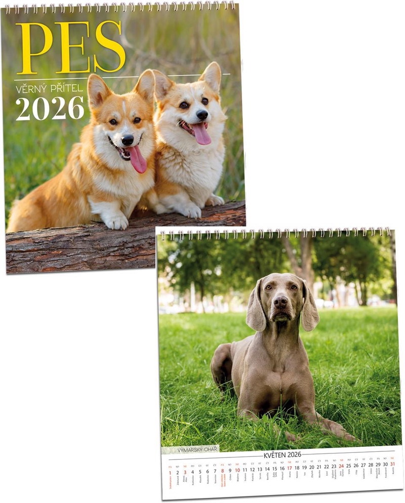 Nástěnný kalendář 2026 ARIA G 320×340mm - Pes věrný přítel (10ks/bal)