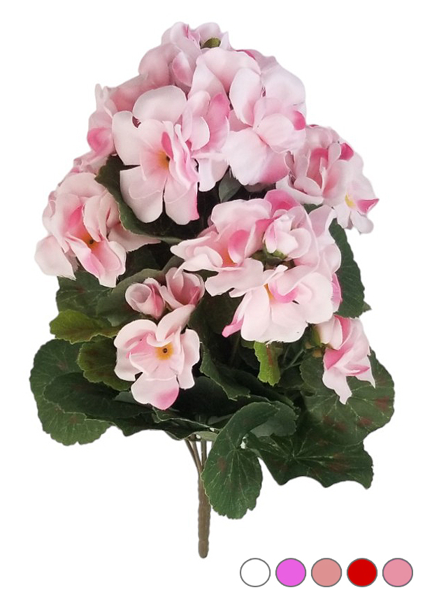 Pelargonie 7 květů 30cm mix barev 