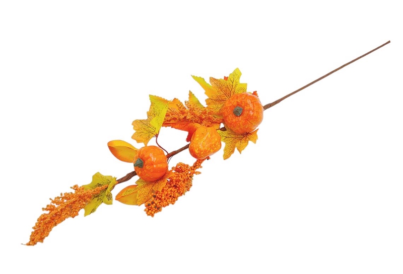 Cành cây bí 67cm 