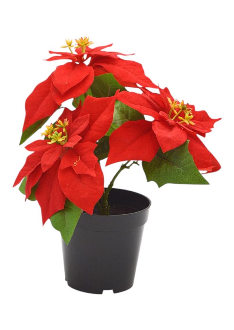 Vánoční hvězda 32cm v obalu červená