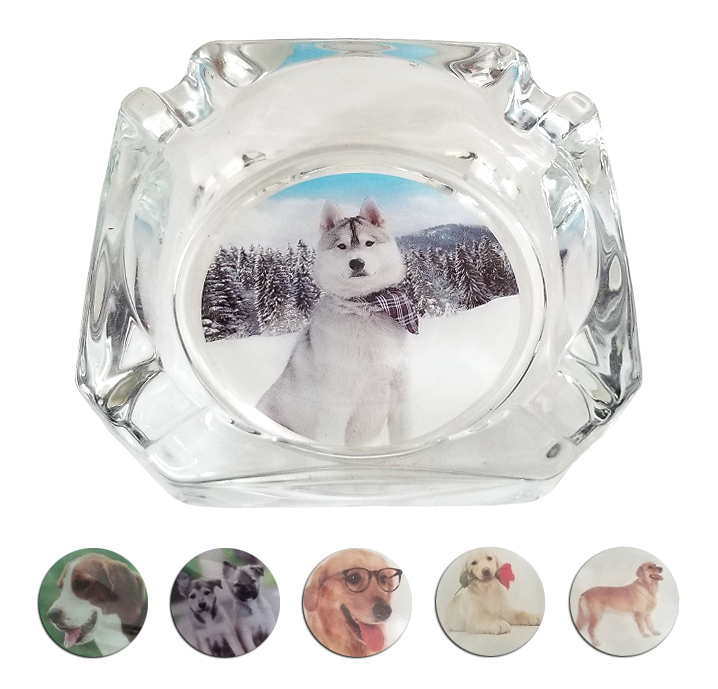 BF Popelník skleněný čtvercový 9x9cm - Psi (6ks/bal)