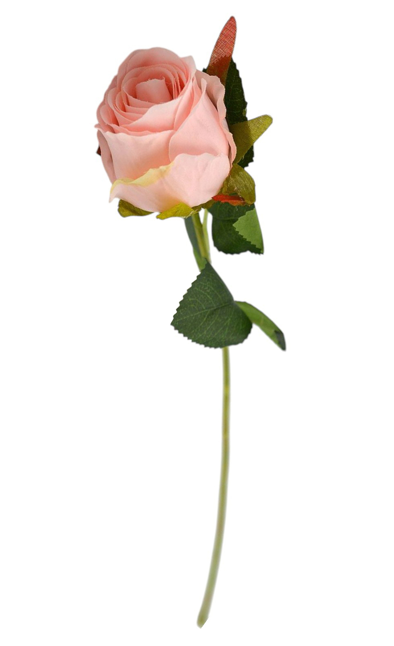 Růže single 51cm světle růžová