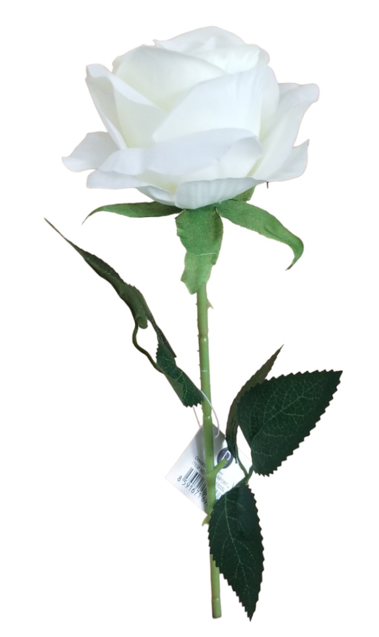 Růže 50cm bílá 