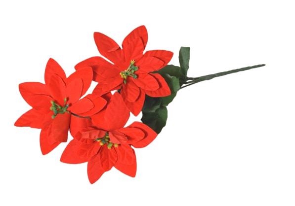 Vánoční hvězda 3 květy 30cm červená (48sad/krt)