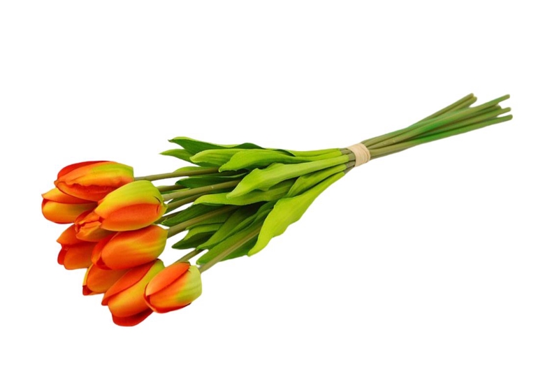 Hoa tulip 45cm