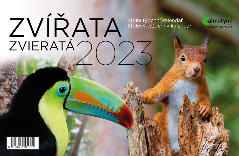 Lịch bàn 2023 to