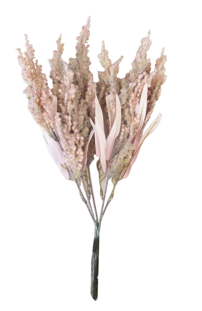 Čechrava (Astilbe)  30cm 