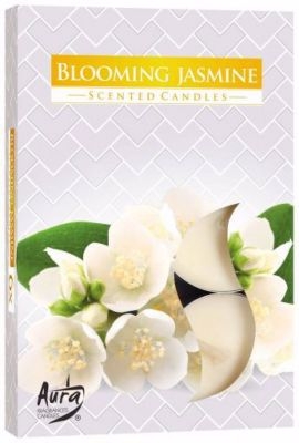 Bispol Vonné svíčka 6ks Blooming Jasmin (12set/bal)