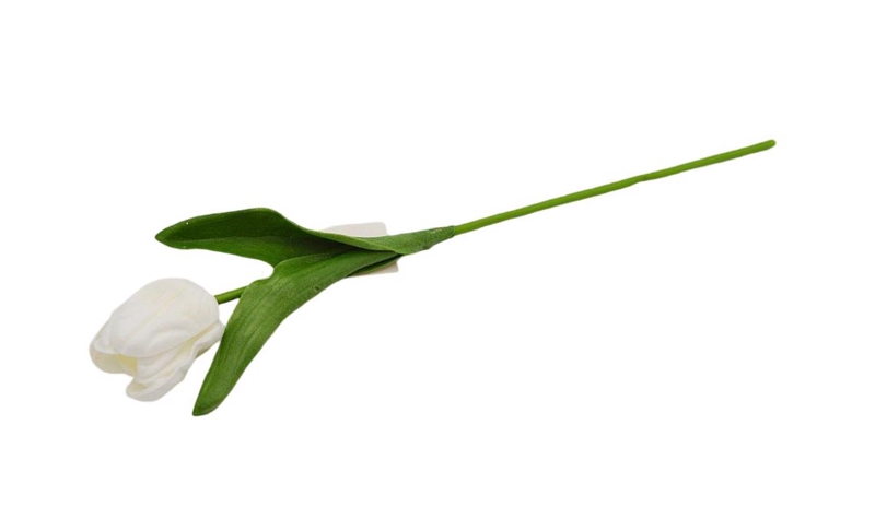 Tulipán svazek pěnový 30cm bílý (10ks/bal)