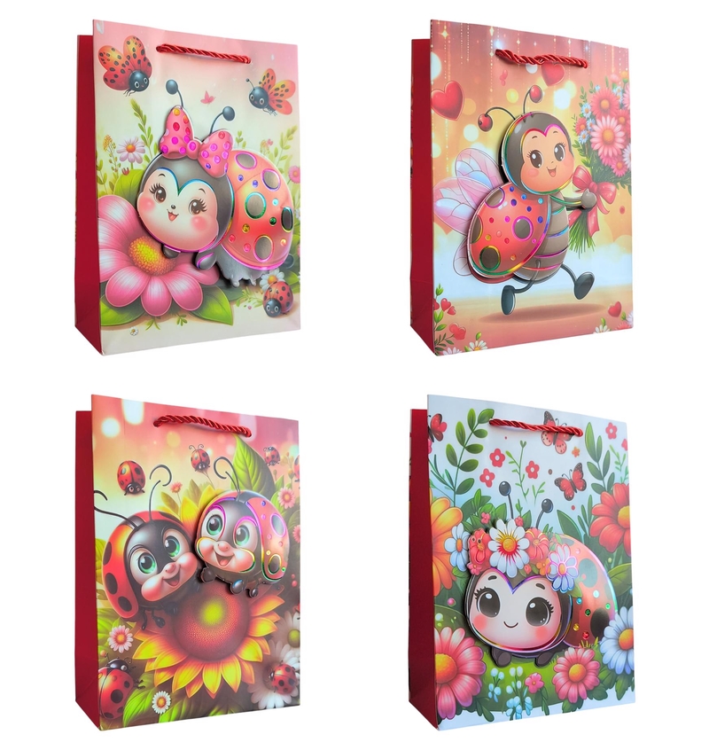 Túi quà 26x32x10cm