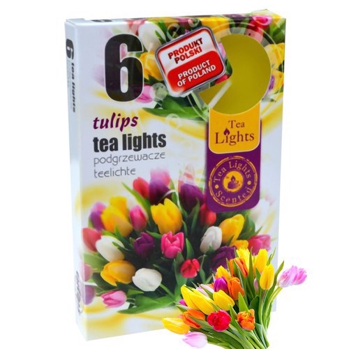 Admit Čajové svíčky 6ks Tulips (15set/bal, 45set/krt)