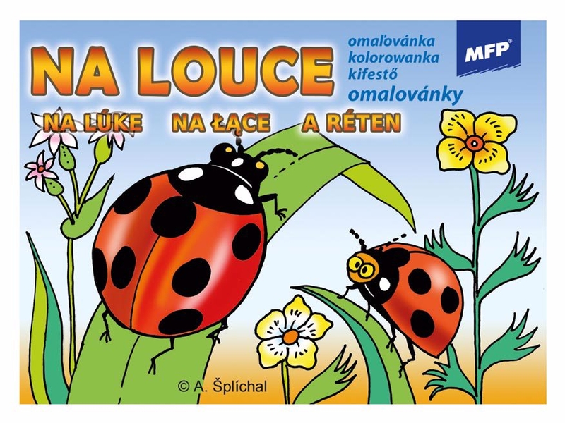 Omalovánky MFP Na louce A5 