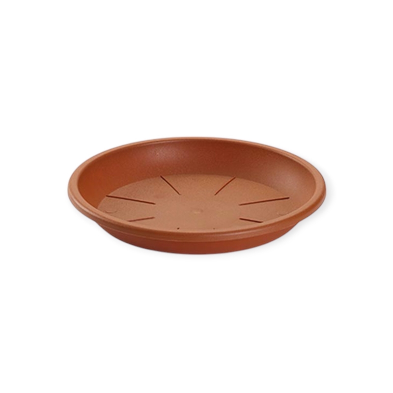 Đĩa chậu hoa 14cm