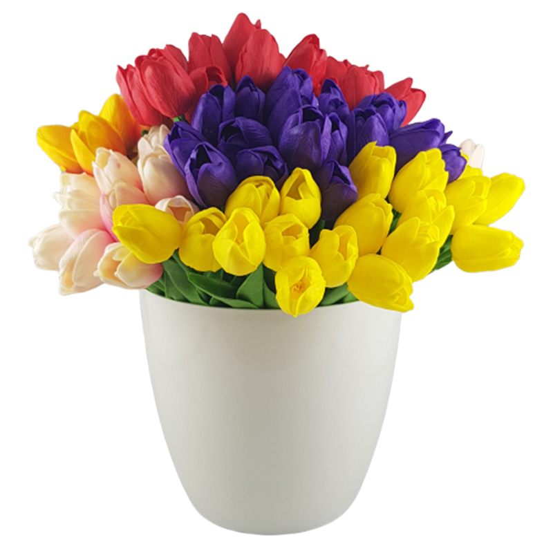 Hoa tulip
