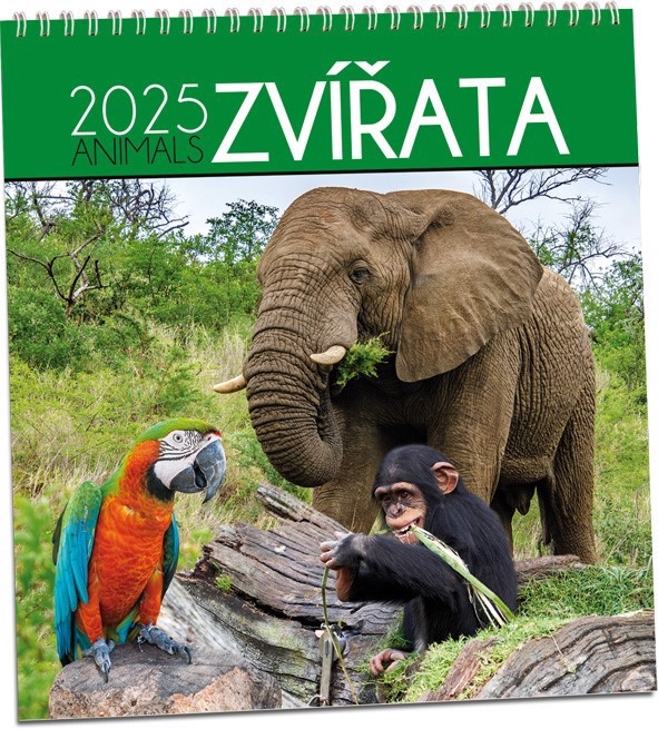 Nástěnný kalendář 2025 ARIA G 320×340mm - Zvířata