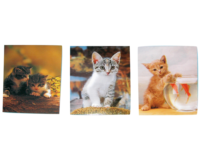 Bloček 6x8,5 cm / 40 listů -  lepený Kočka MINI (10/bal)