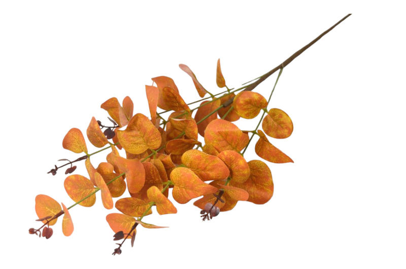 Eukalyptus podzimní 74cm oranžový