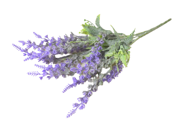 Hoa lavender 37 cm