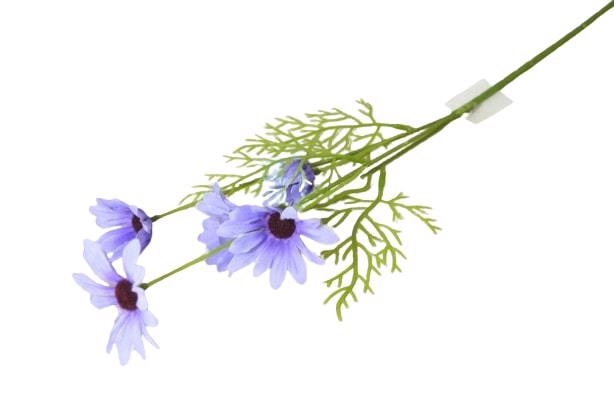 Kopretina 5 květů 50cm modrá