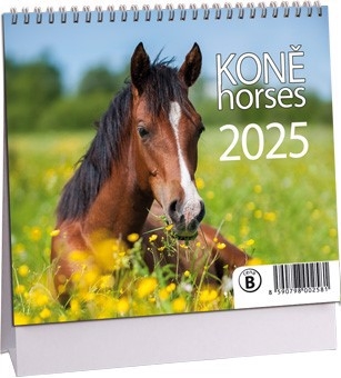 Stolní kalendář 2024 ARIA B 170×145mm - Koně (10ks/bal)