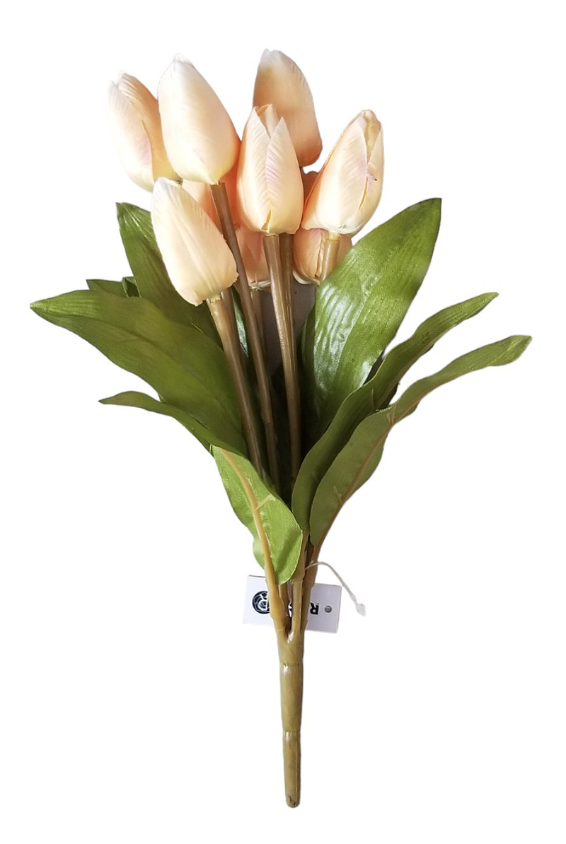 Svazek tulipánů mini 31cm 9 květů žluté (36sad/krt)
